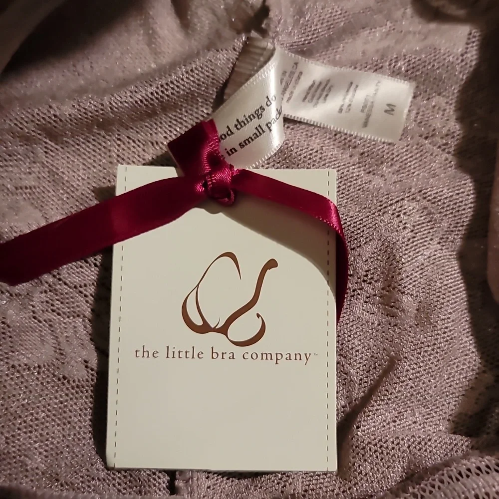The Little Bra Company Mesh Embroidered Panties - Picture 15 of 16